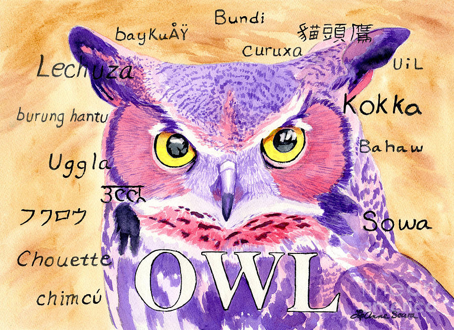 Owl Language Painting
