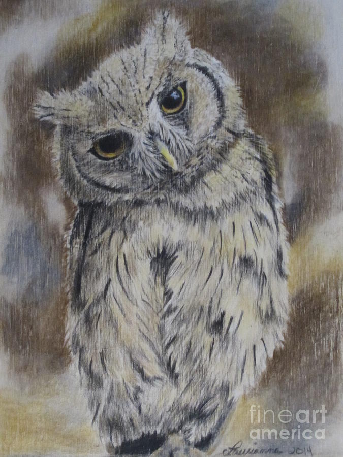 Owl Drawing by Laurianna Taylor