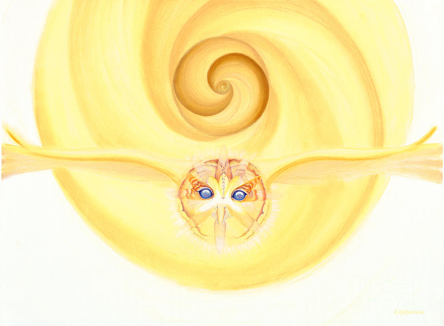 Owl Looking Into the Divine Drawing by Robin Aisha Landsong