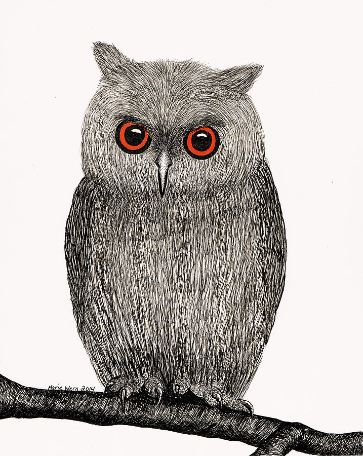 Owl Drawing - Owl by Marie Wern