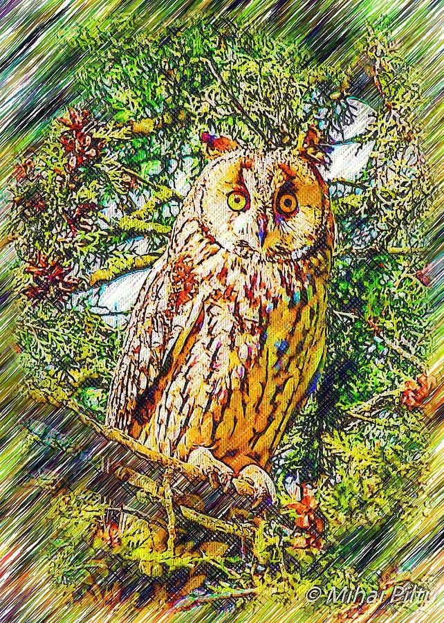Owl Digital Art - Owl by Mihai Piltu