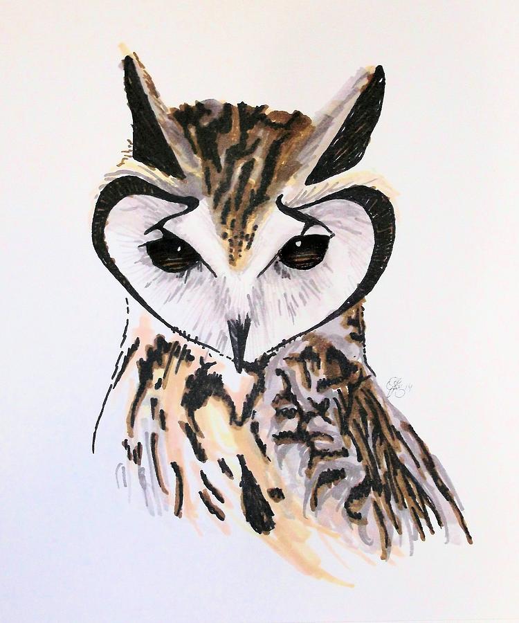 Owl  Drawing by Scarlett Royale
