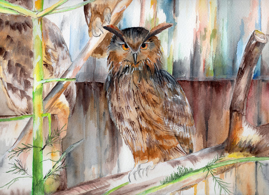 Owl Painting - Owl Series - Owl 2 by Judith Rice