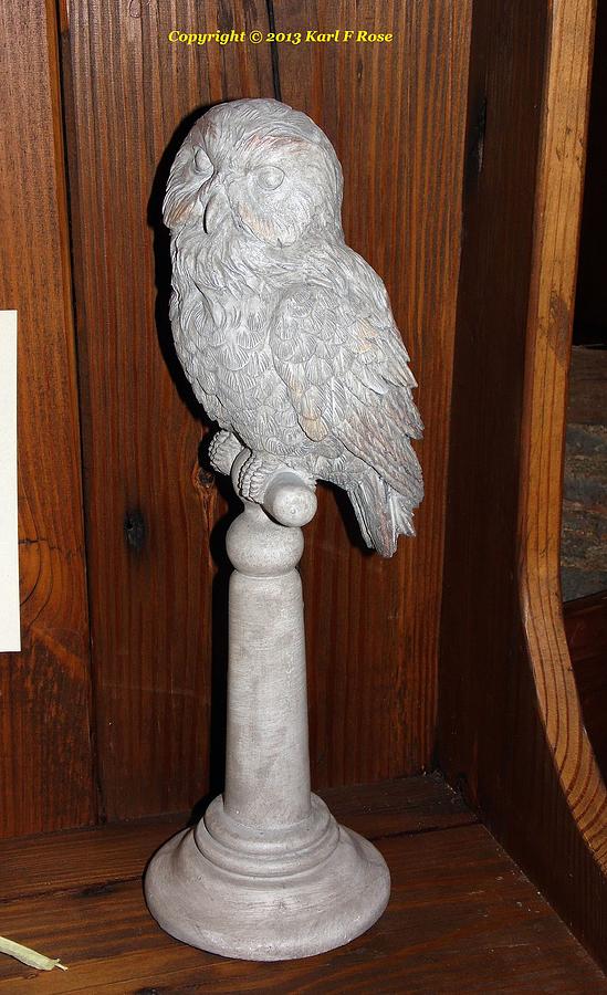 Owl statue Photograph by Karl Rose