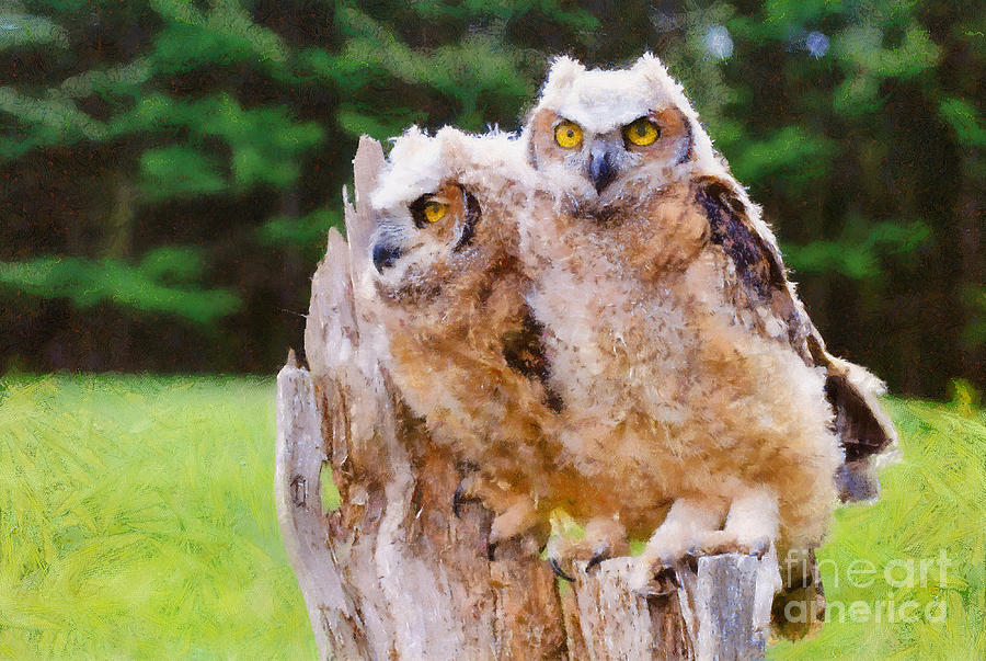 Owlets - painterly Photograph by Les Palenik