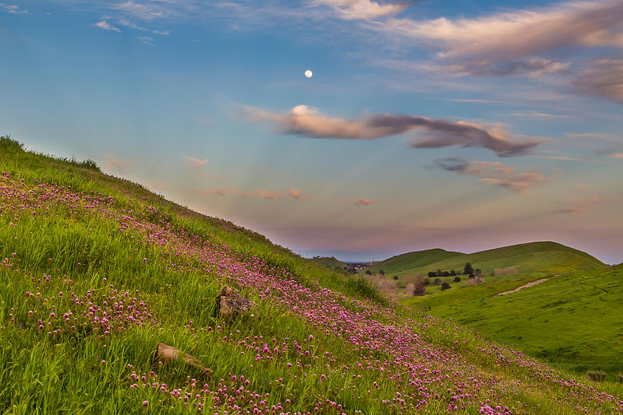 Antioch Photograph - Owls Clover and Moon With Anticrepuscular Rays by Marc Crumpler