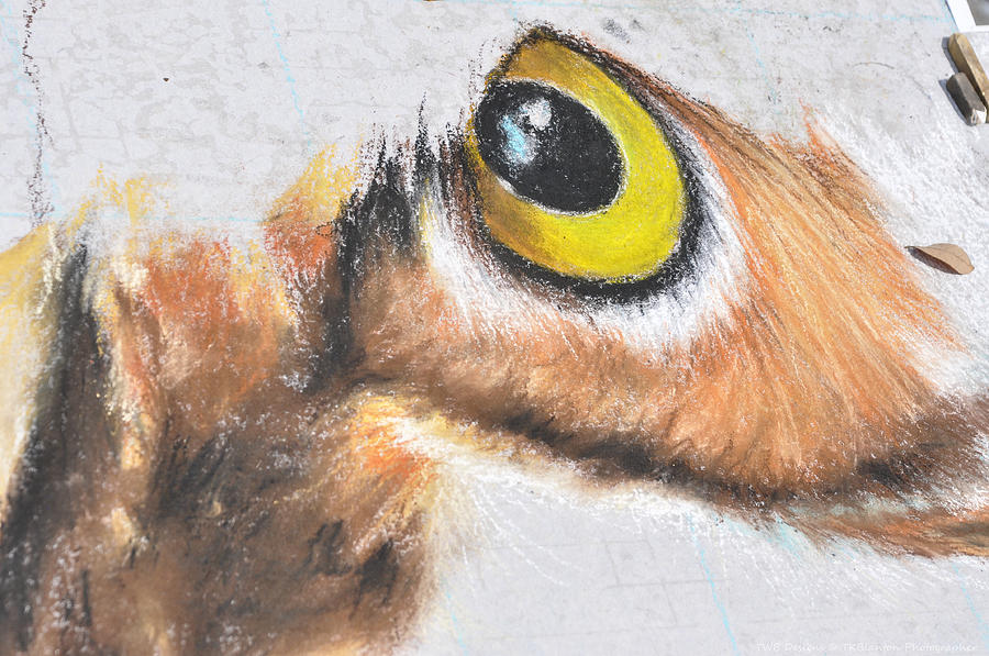 Owls Eye Chalk Art Photograph by Teresa Blanton