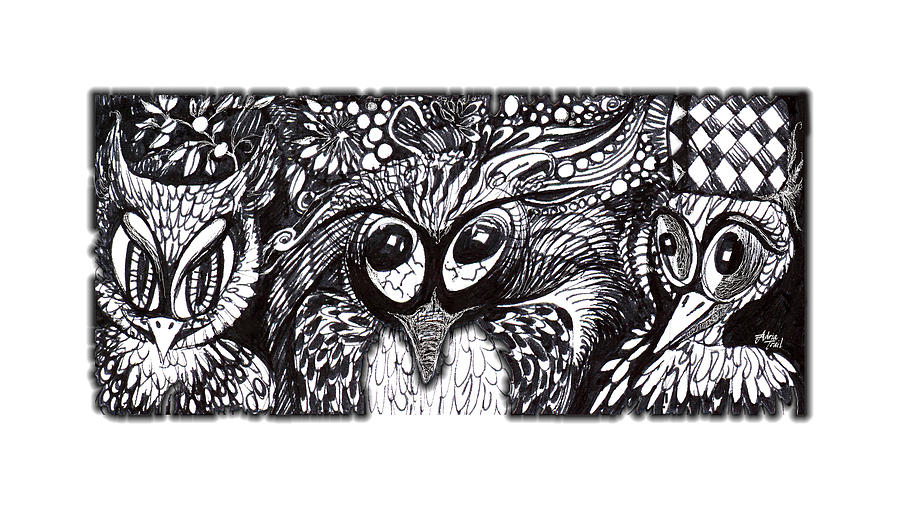 Owls Eyes Drawing by Adria Trail