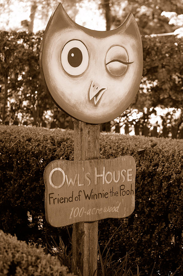 Owls House Photograph by Holly Blunkall