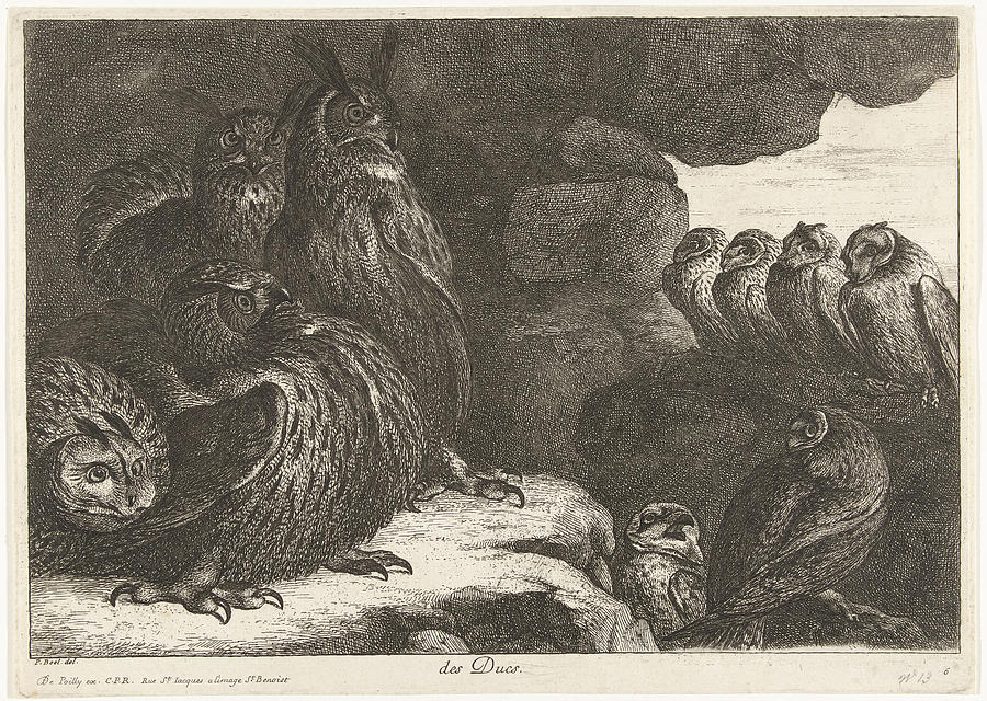 Owls In A Cave, De Poilly, Louis Xiv, King Of France Painting by De ...