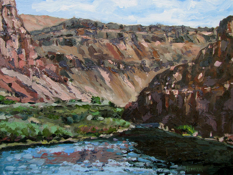 Owyhee River  Painting by Les Herman