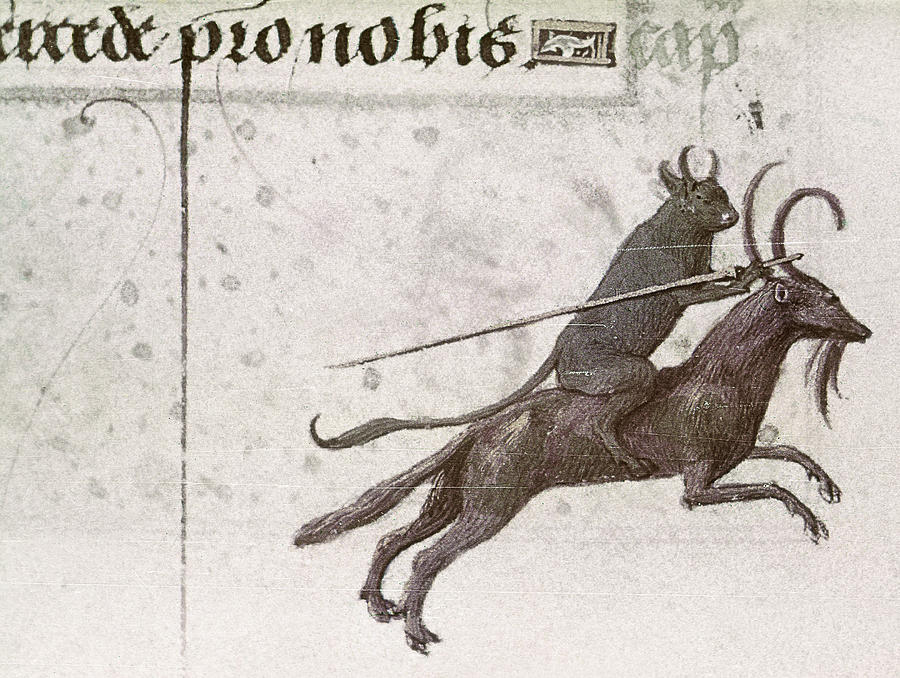 Ox & Goat, 15th Century Painting by Granger