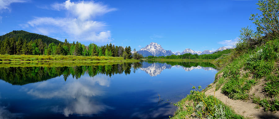 Grand Teton National Park Photograph - Oxbow Bend Spring Panorama by Greg Norrell