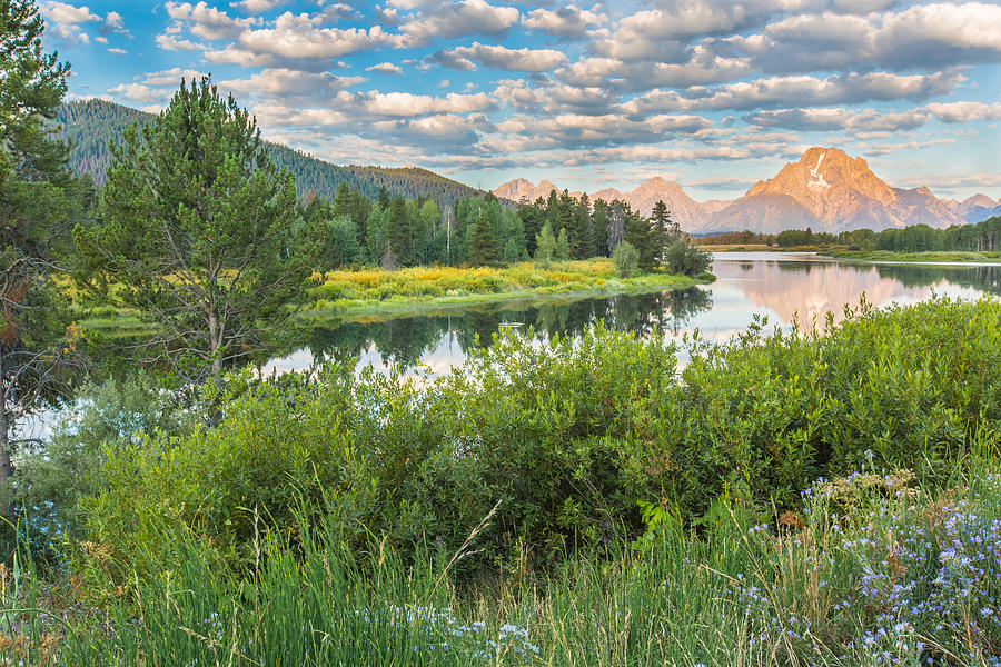 Bend Photograph - Oxbow Bend Summer Sunrise - Grand Teton National Park by Andres Leon