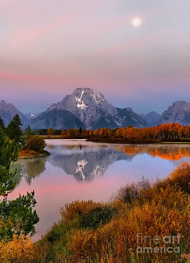 Oxbow Bend Sunrise Moonset Photograph by Clare VanderVeen