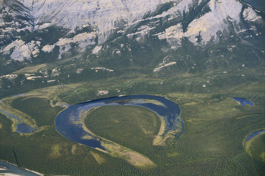 Oxbow Lake In Alaska Photograph by Carleton Ray