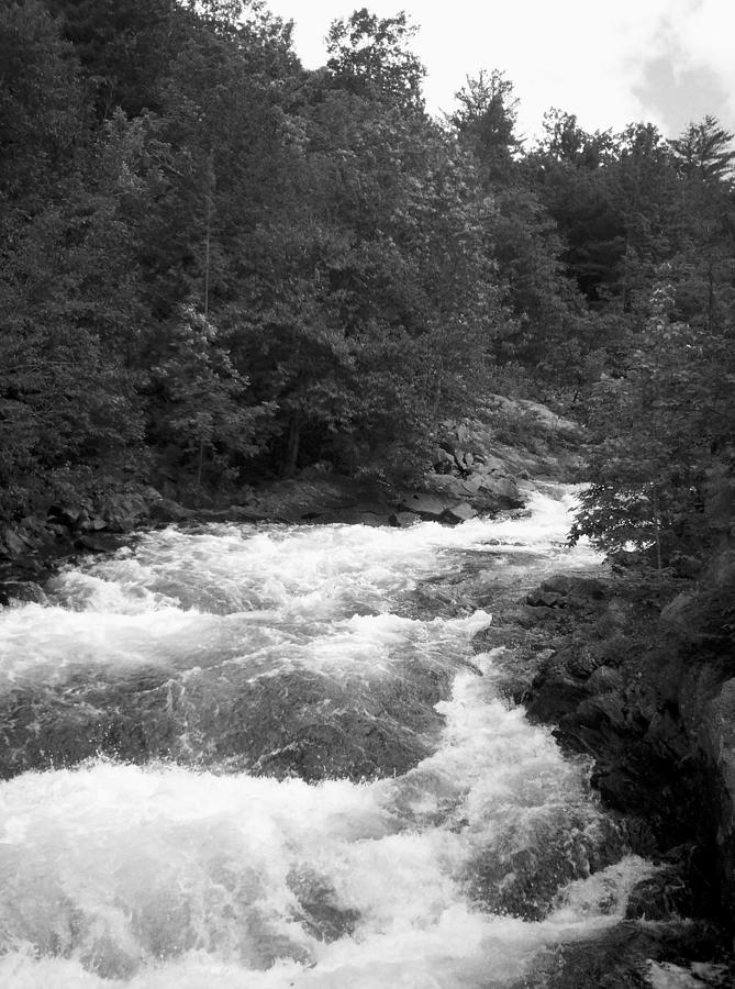 Oxtongue River - Rapids - B n W Photograph by Richard Andrews