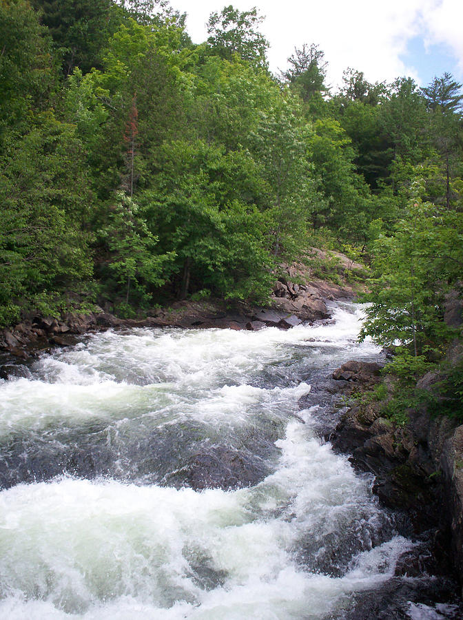 Nature Photograph - Oxtongue River - Rapids by Richard Andrews