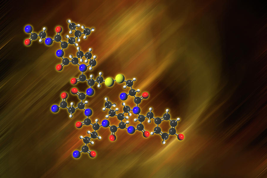 Oxytocin Molecular Model Photograph by Carol & Mike Werner