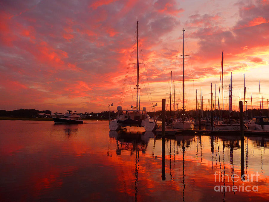 Oyster Creek Photograph by Phil King Fine Art America