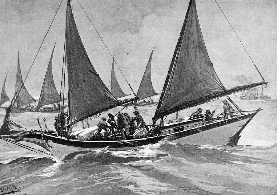 Oyster Pirates, 1892 Drawing by Granger