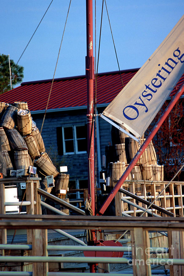 Oystering History at the Maritime Museum in Saint Michaels Maryland Photograph by William Kuta