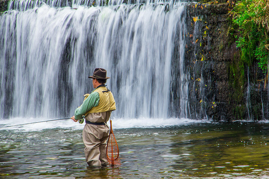 Ozark Trout Fishing of Missouri Photograph by Steven Bateson