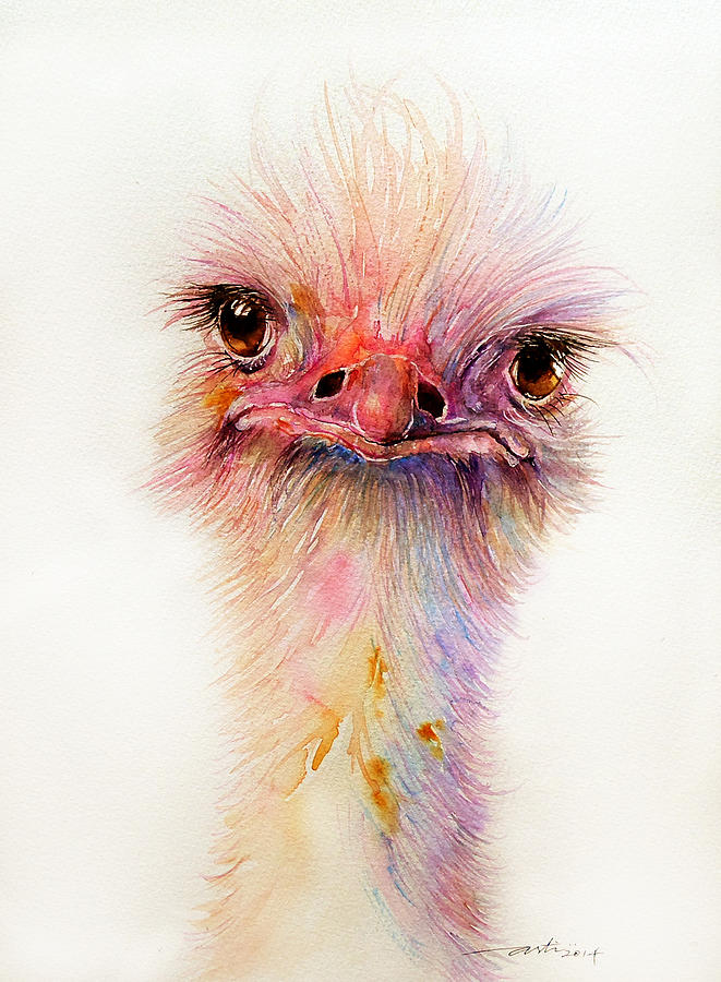 Ostrich Painting - Ozzy the Ostrich by Arti Chauhan