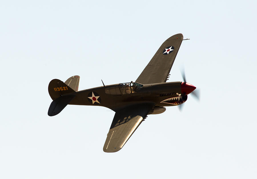 P-40 Photograph by John Daly