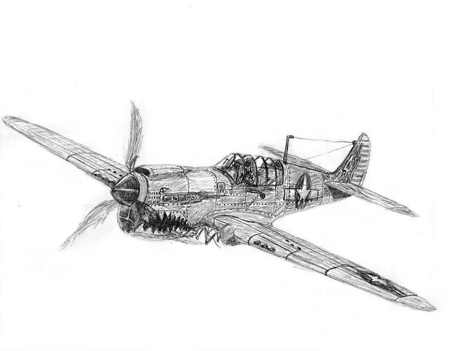 P-40 War Hawk Drawing by KG Christopher