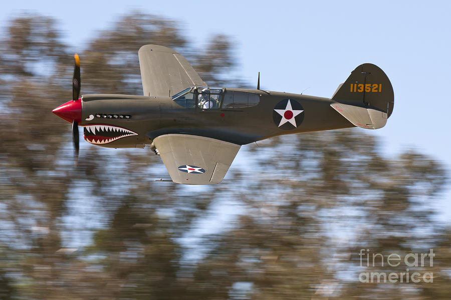 P-40 Warhawk Photograph