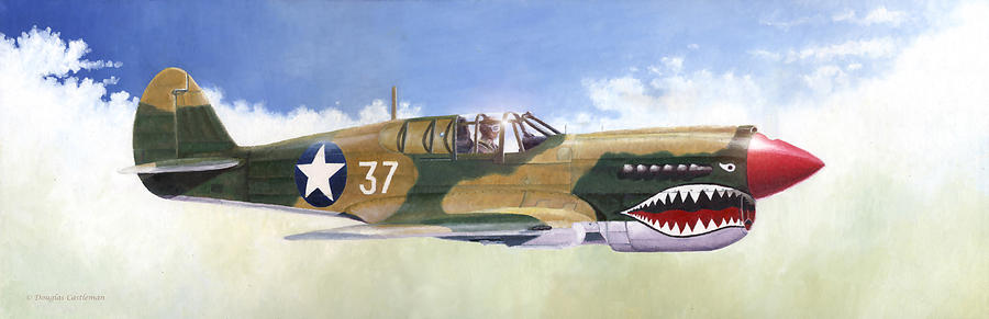 Transportation Painting - P-40E Warhawk by Douglas Castleman