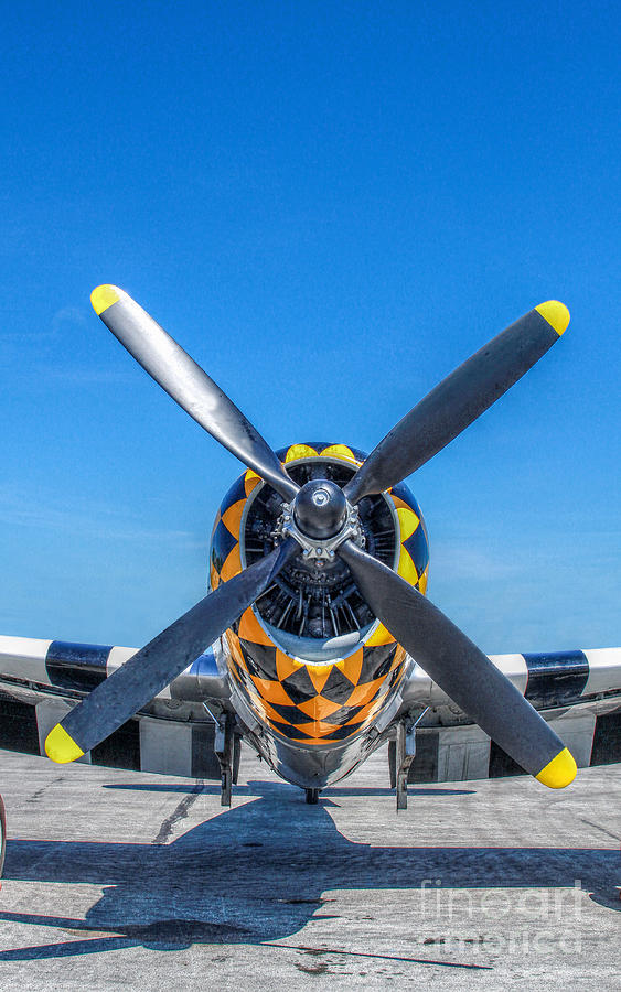 Airplane Photograph - P-47 Thunderbolt Airplane WWII Front by Randy Steele