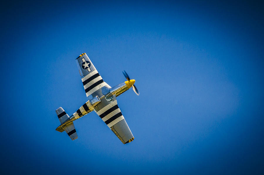 P-51 Invasion Stripes Photograph by Bradley Clay