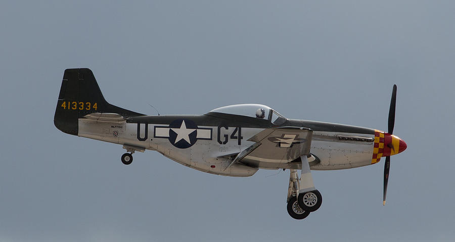 P-51 Landing Configuration Photograph by John Daly