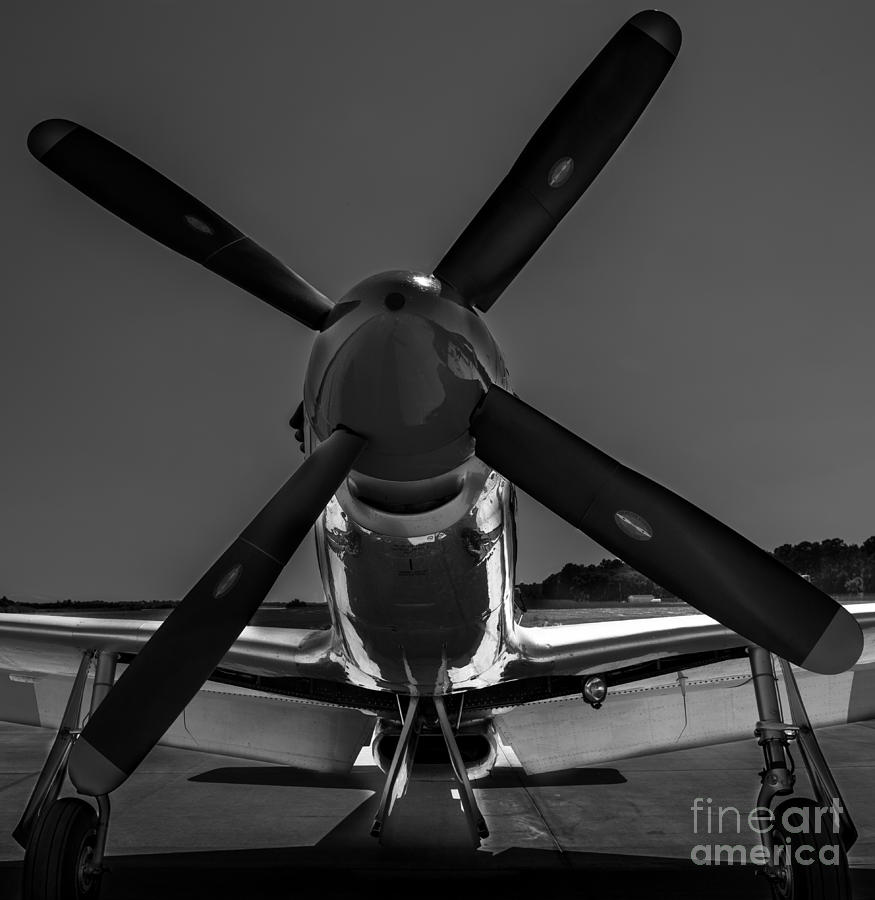 P-51 Mustang Photograph by Dale Powell