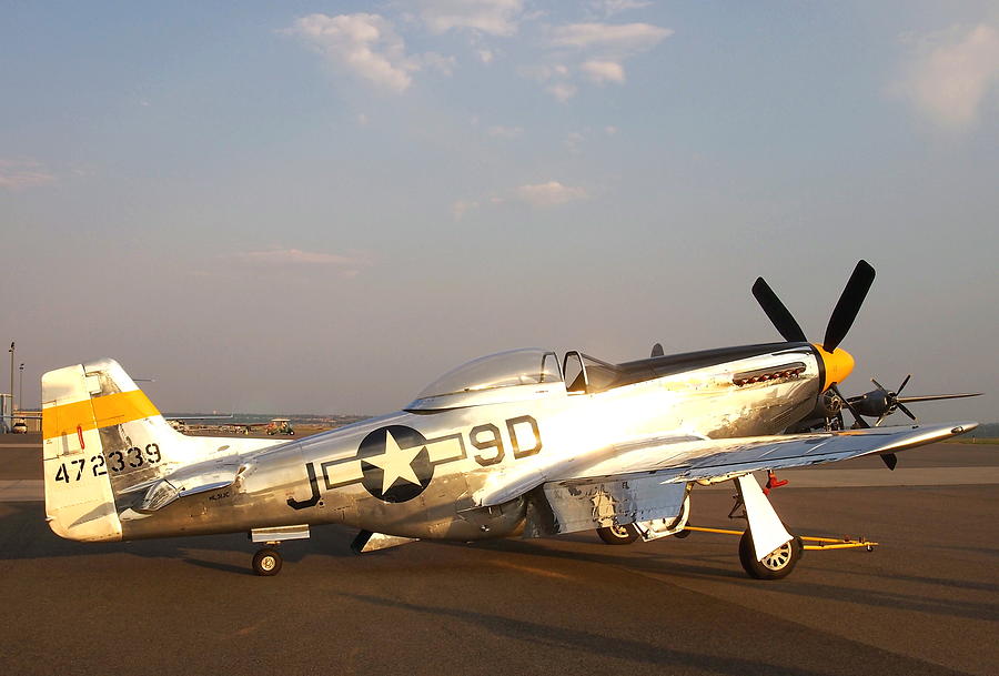 P-51 Mustang Fighter Aircraft Photograph by Amy McDaniel