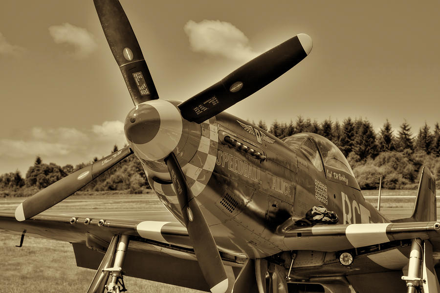 P-51 Mustang II Photograph by David Patterson