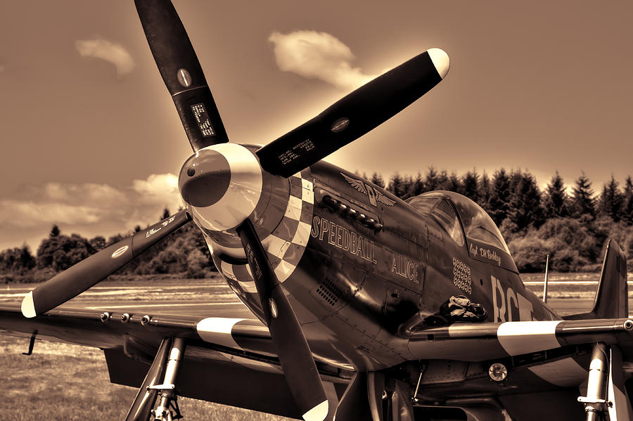 Airplane Photograph - P-51 Speedball Alice by David Patterson