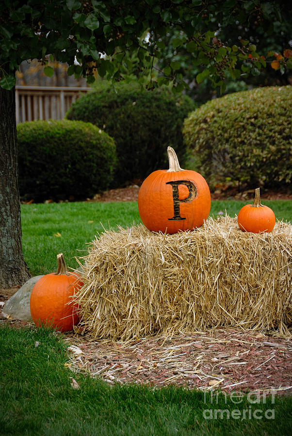 Fall Photograph - P is for Pumpkin by Amy Cicconi