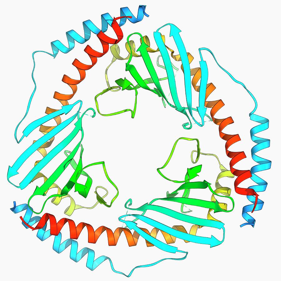 Mitochondriale Matrix