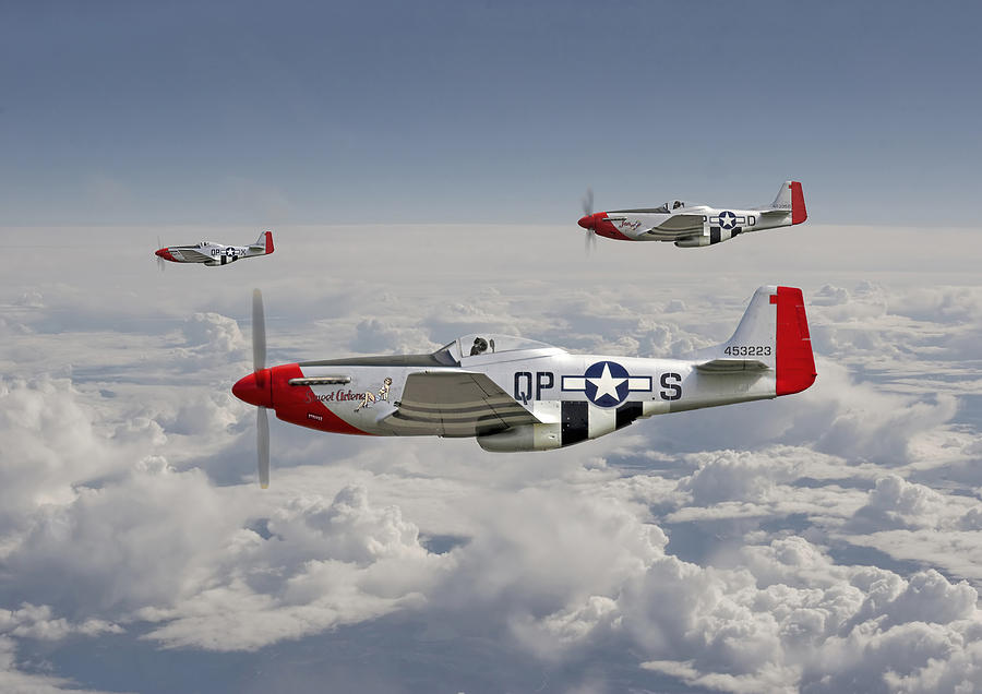 Airplane Digital Art - P51 - 334th Fighting Eagles by Pat Speirs