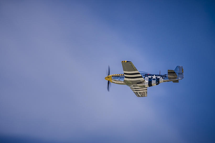 P51 Mustang Photograph by Bradley Clay