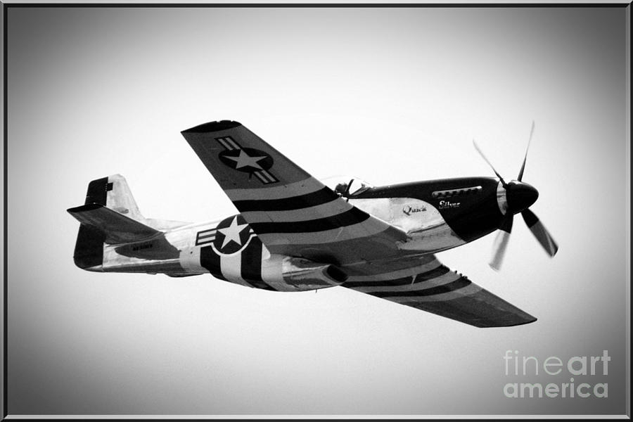P51 Mustang BW Photograph by Kevin Fortier