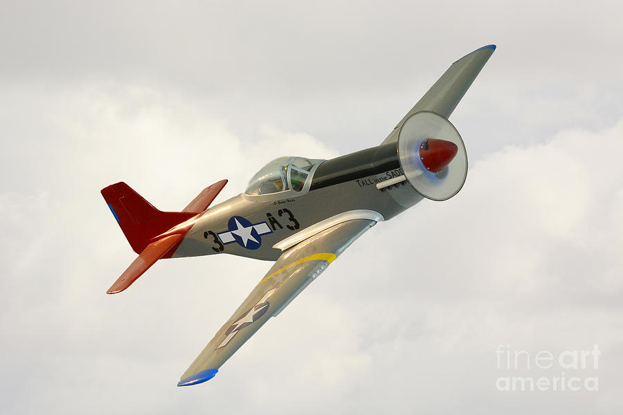P51 Mustang Photograph by Dennis Hammer