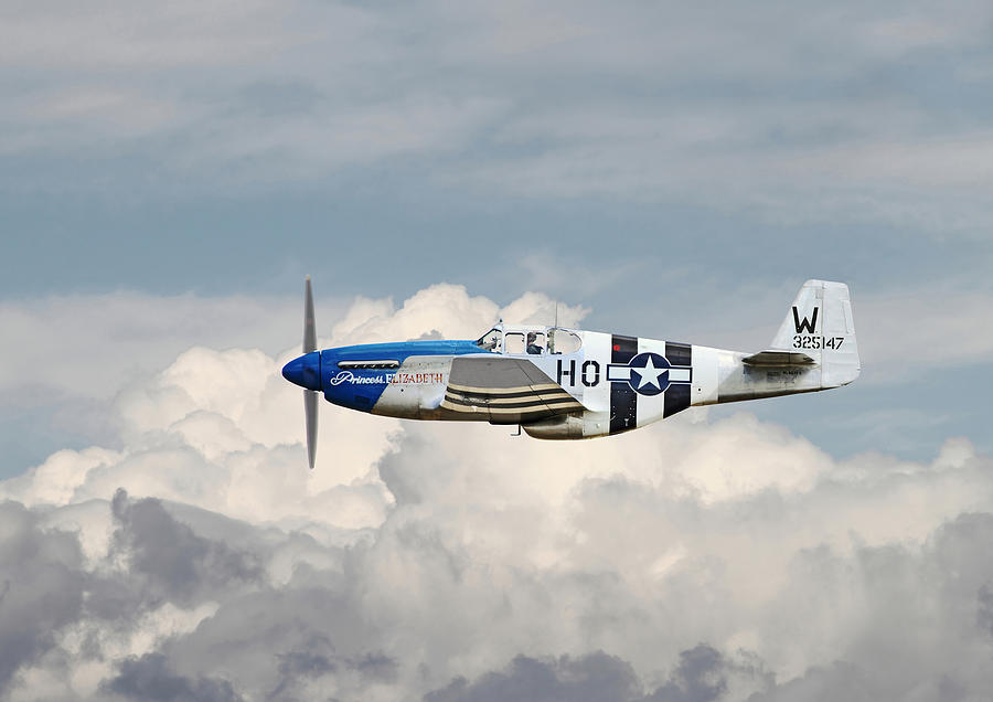 P51 Mustang Gallery - No2 Photograph by Pat Speirs