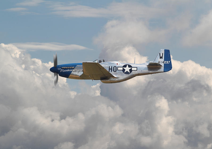 P51 Mustang Gallery - No3 Photograph by Pat Speirs