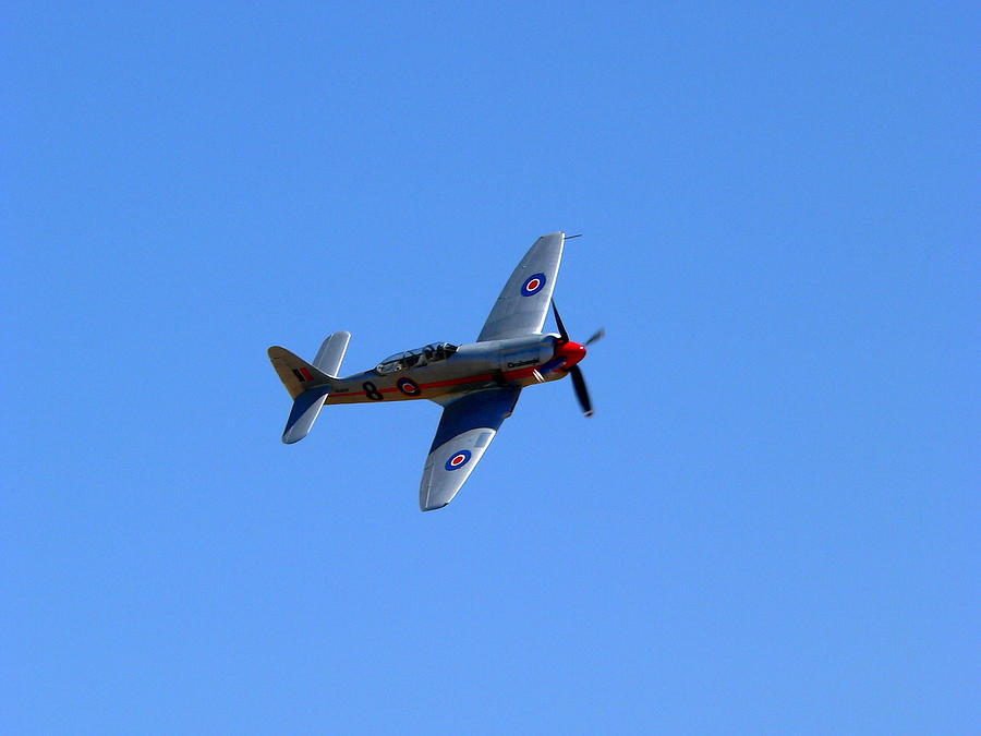 P51 Mustang Photograph by Jeff Lowe