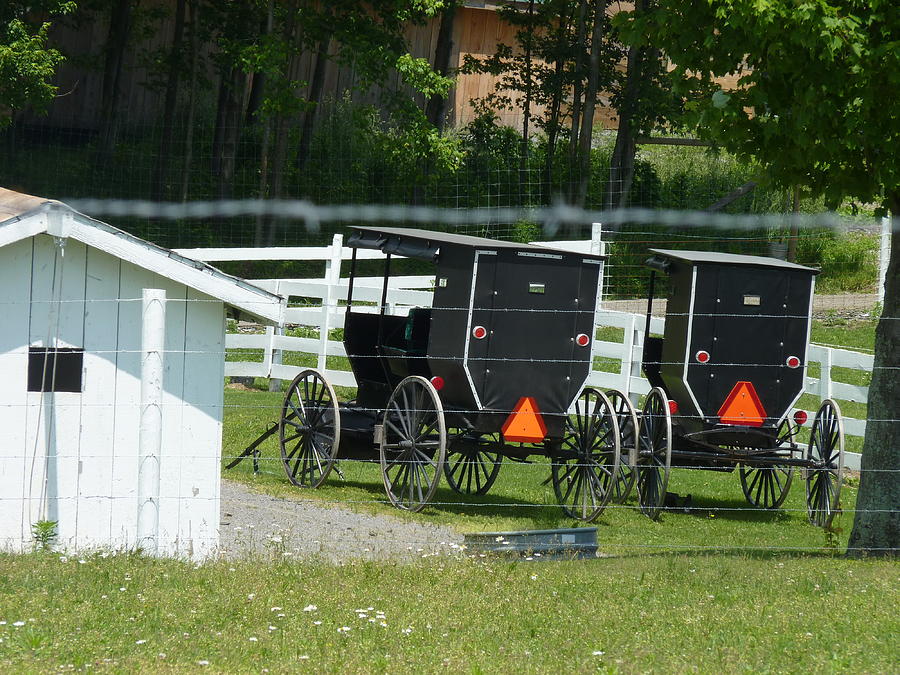 PA Amish Buggies Photograph by Jeanette Oberholtzer