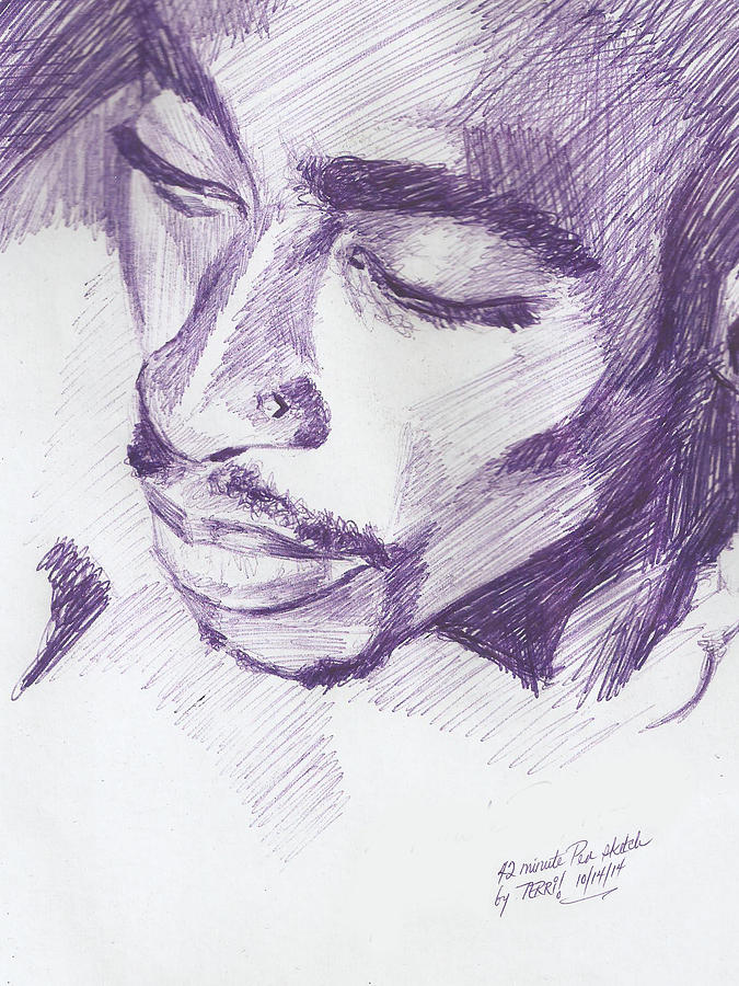 Pac Drawing by Terri Meredith